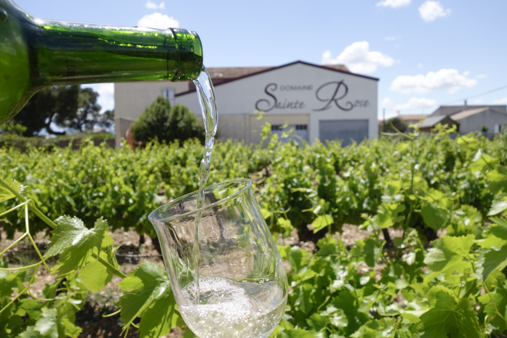 Accueil Domaine Bergé de Sainte Rose